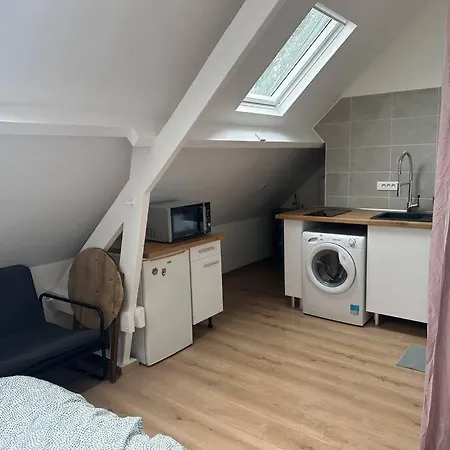 Studio Lumineux Proche Paris Et Orly Apartment *
